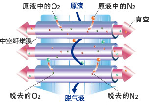 观看视频，了解「外部灌流」