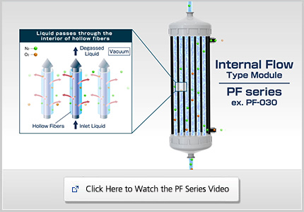 Movie of Internal Perfusion