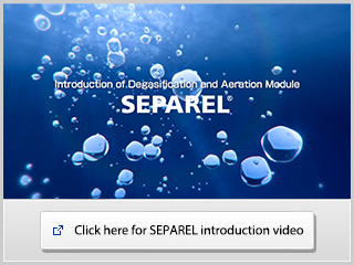 Introducing SEPAREL