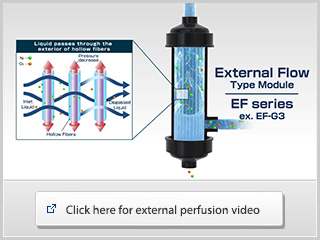 Movie of External perfusion