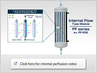 Movie of Internal Perfusion