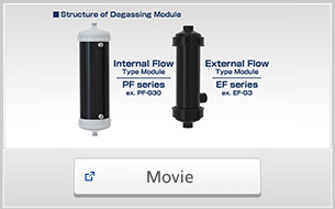 Membrane Degasification System